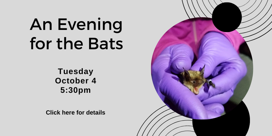 [IN PERSON] An Evening with the Bats TUESDAY, OCTOBER 4 at 5:30pm. Click here for details.